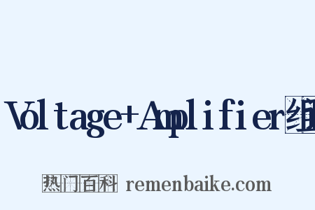 Voltage+Amplifier组词是什么意思的图片